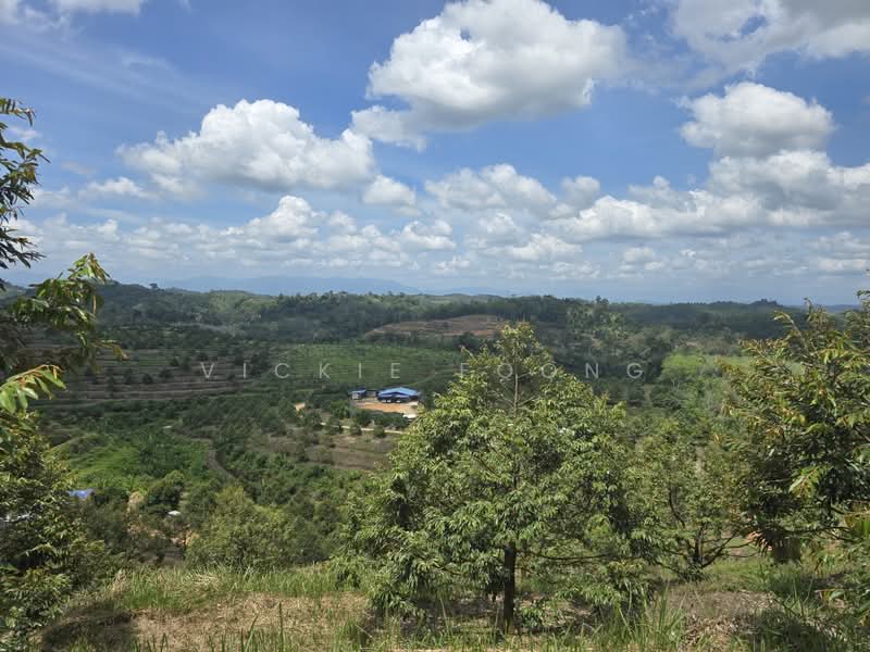 Agricultural Land for Sale in Kampung Jeram Besu (Sega) - Vickie Foong - Exterior - PropertyGuru.com.my