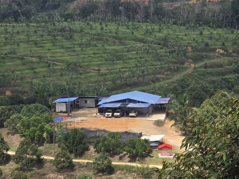Agricultural Land for Sale in Kampung Jeram Besu (Sega) - Vickie Foong - Exterior - PropertyGuru.com.my