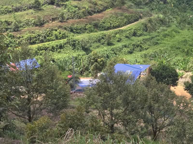Agricultural Land for Sale in Kampung Jeram Besu (Sega) - Vickie Foong - Exterior - PropertyGuru.com.my