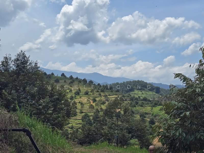 Agricultural Land for Sale in Kampung Jeram Besu (Sega) - Vickie Foong - Exterior - PropertyGuru.com.my
