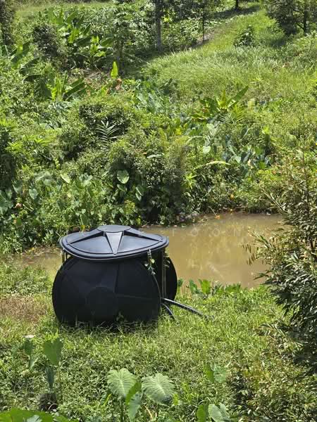 Agricultural Land for Sale in Kampung Jeram Besu (Sega) - Vickie Foong - Garden - PropertyGuru.com.my