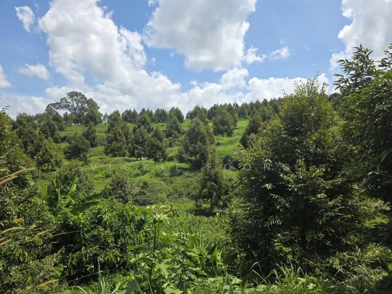 Agricultural Land for Sale in Kampung Jeram Besu (Sega) - Vickie Foong - Exterior - PropertyGuru.com.my