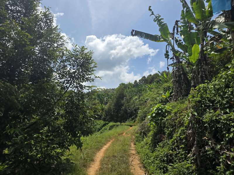Agricultural Land for Sale in Kampung Jeram Besu (Sega) - Vickie Foong - Exterior - PropertyGuru.com.my