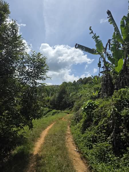Agricultural Land for Sale in Kampung Jeram Besu (Sega) - Vickie Foong - Exterior - PropertyGuru.com.my