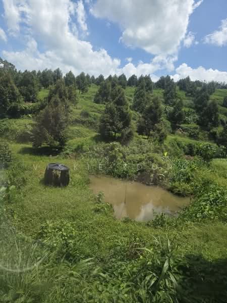 Agricultural Land for Sale in Kampung Jeram Besu (Sega) - Vickie Foong - Exterior - PropertyGuru.com.my