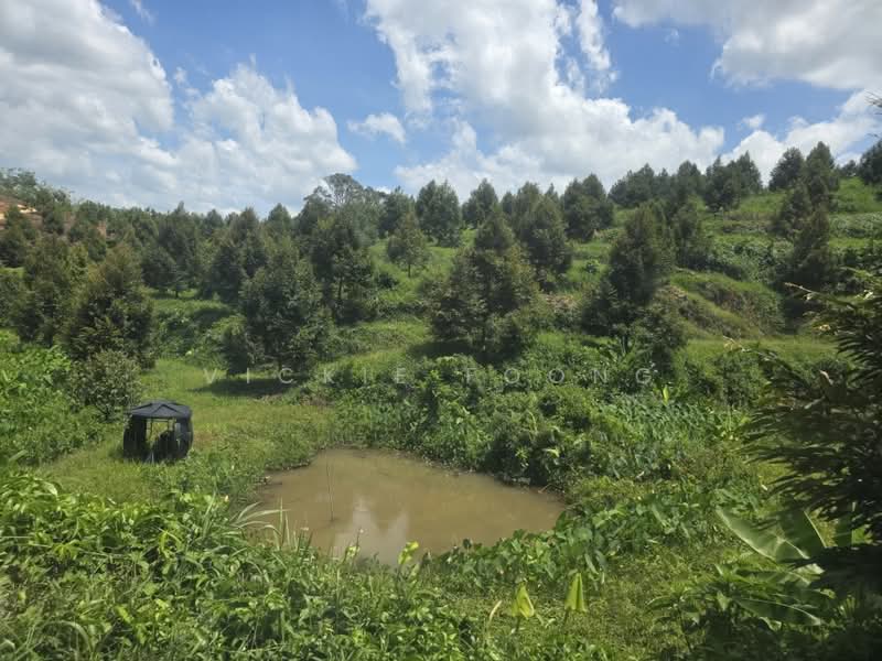 Agricultural Land for Sale in Kampung Jeram Besu (Sega) - Vickie Foong - Exterior - PropertyGuru.com.my