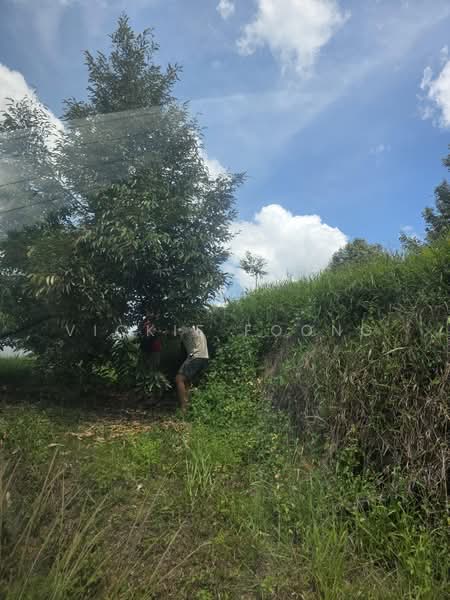 Agricultural Land for Sale in Kampung Jeram Besu (Sega) - Vickie Foong - Exterior - PropertyGuru.com.my