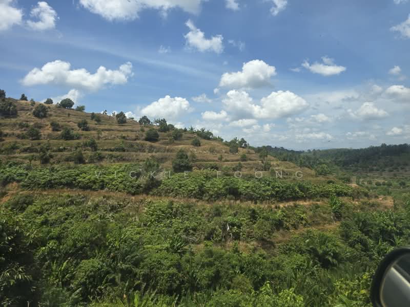 Agricultural Land for Sale in Kampung Jeram Besu (Sega) - Vickie Foong - Exterior - PropertyGuru.com.my