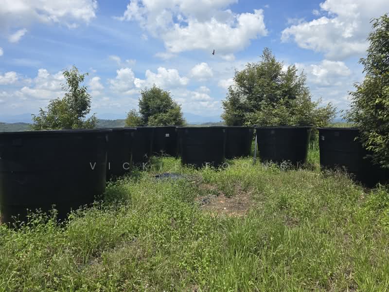 Agricultural Land for Sale in Kampung Jeram Besu (Sega) - Vickie Foong - Exterior - PropertyGuru.com.my