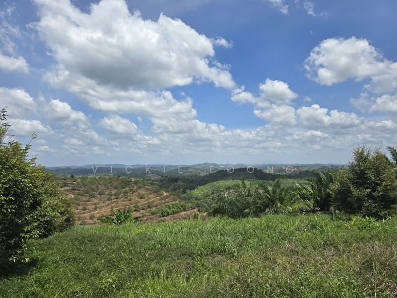 Agricultural Land for Sale in Kampung Jeram Besu (Sega) - Vickie Foong - Exterior - PropertyGuru.com.my