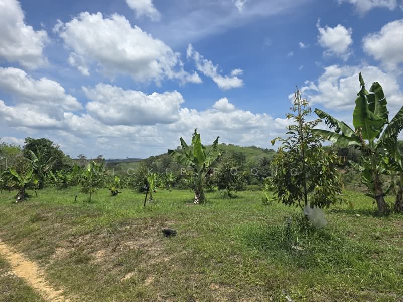 Agricultural Land for Sale in Kampung Jeram Besu (Sega) - Vickie Foong - Exterior - PropertyGuru.com.my