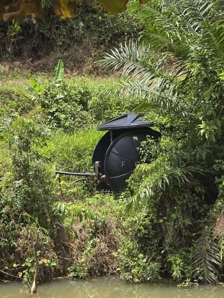 Agricultural Land for Sale in Kampung Jeram Besu (Sega) - Vickie Foong - Exterior - PropertyGuru.com.my