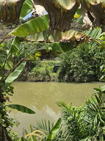 Agricultural Land for Sale in Kampung Jeram Besu (Sega) - Vickie Foong - Exterior - PropertyGuru.com.my