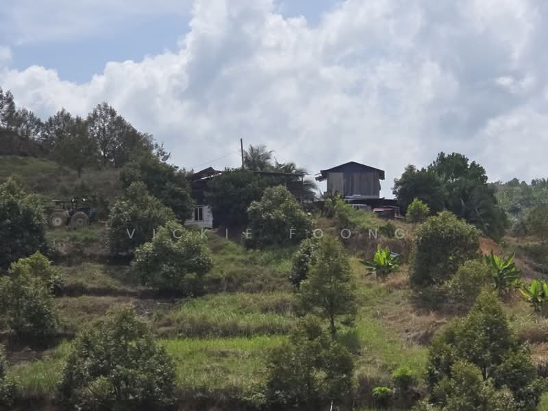 Agricultural Land for Sale in Kampung Jeram Besu (Sega) - Vickie Foong - Exterior - PropertyGuru.com.my