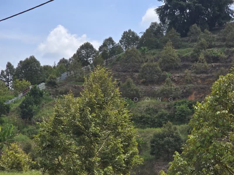 Agricultural Land for Sale in Kampung Jeram Besu (Sega) - Vickie Foong - Exterior - PropertyGuru.com.my