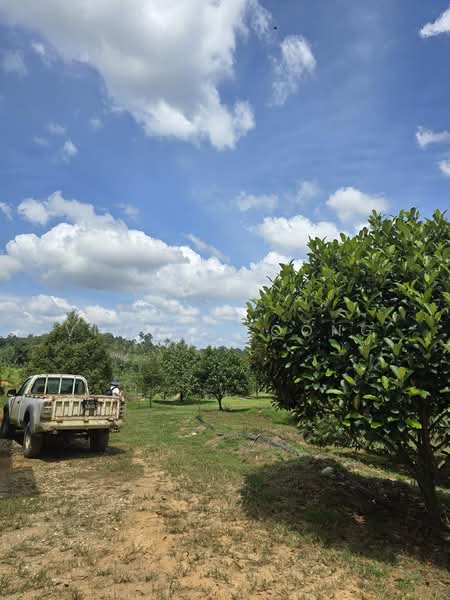 Agricultural Land for Sale in Kampung Jeram Besu (Sega) - Vickie Foong - Exterior - PropertyGuru.com.my