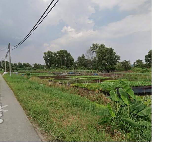 Agricultural Land for Sale in Klang (Selangor) - Andrew Chong - Exterior - PropertyGuru.com.my