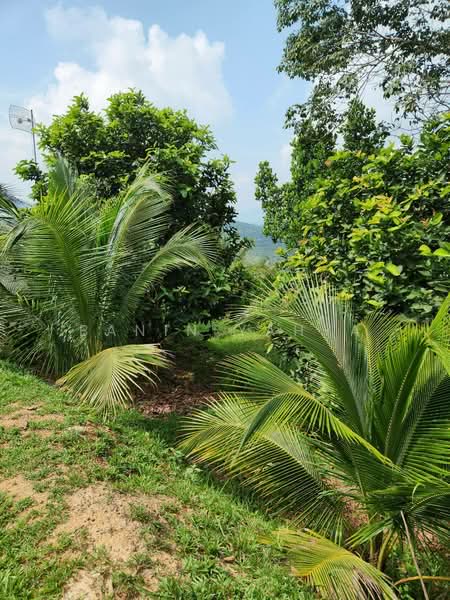 Kuala Pilah untuk Untuk Dijual - RM 1,300,000, Mac 2026 - Exterior - PropertyGuru.com.my