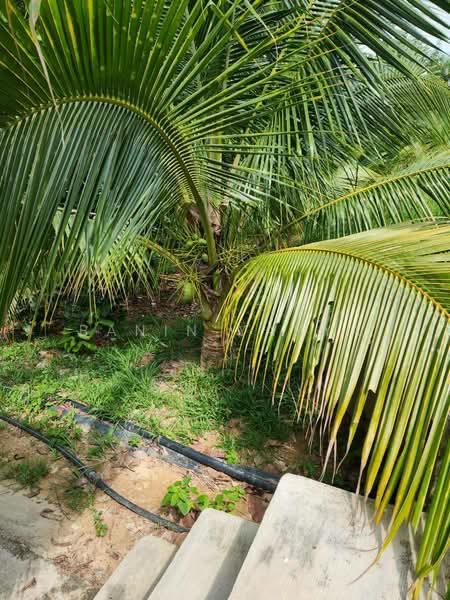 Kuala Pilah untuk Untuk Dijual - RM 1,300,000, Mac 2026 - Garden - PropertyGuru.com.my