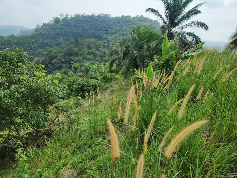 Kuala Pilah untuk Untuk Dijual - RM 1,300,000, Mac 2026 - Exterior - PropertyGuru.com.my