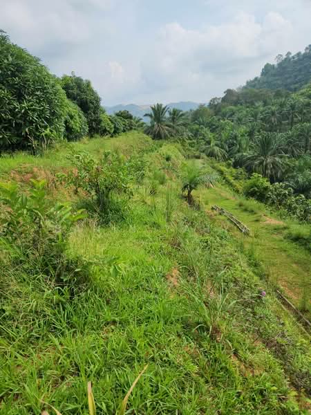 Kuala Pilah untuk Untuk Dijual - RM 1,300,000, Mac 2026 - Garden - PropertyGuru.com.my