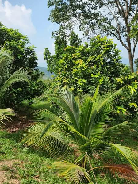 Kuala Pilah untuk Untuk Dijual - RM 1,300,000, Mac 2026 - Garden - PropertyGuru.com.my