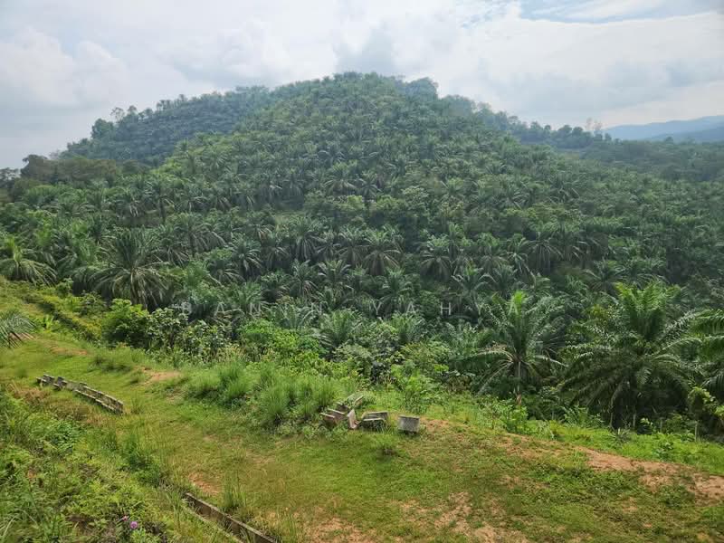 Kuala Pilah untuk Untuk Dijual - RM 1,300,000, Mac 2026 - Exterior - PropertyGuru.com.my