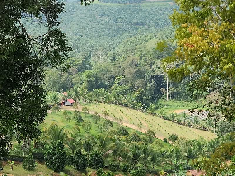 Kuala Pilah untuk Untuk Dijual - RM 1,300,000, Mac 2026 - Exterior - PropertyGuru.com.my