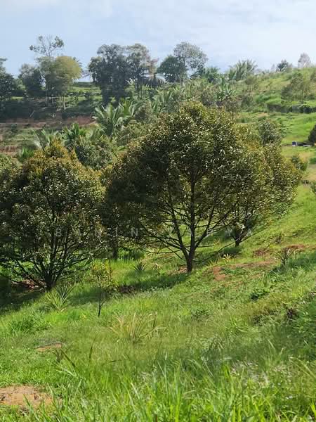 Kuala Pilah untuk Untuk Dijual - RM 1,300,000, Mac 2026 - Garden - PropertyGuru.com.my