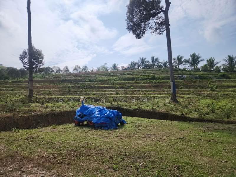 Kuala Pilah untuk Untuk Dijual - RM 1,300,000, Mac 2026 - Exterior - PropertyGuru.com.my