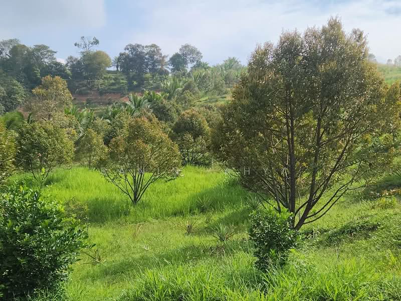 Kuala Pilah untuk Untuk Dijual - RM 1,300,000, Mac 2026 - Garden - PropertyGuru.com.my