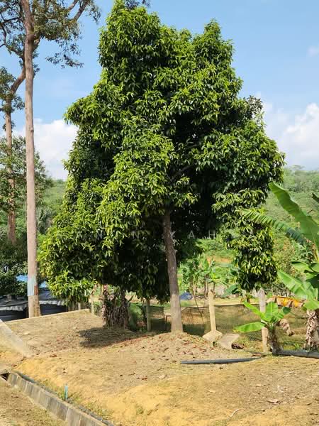 Kuala Pilah untuk Untuk Dijual - RM 1,300,000, Mac 2026 - Exterior - PropertyGuru.com.my