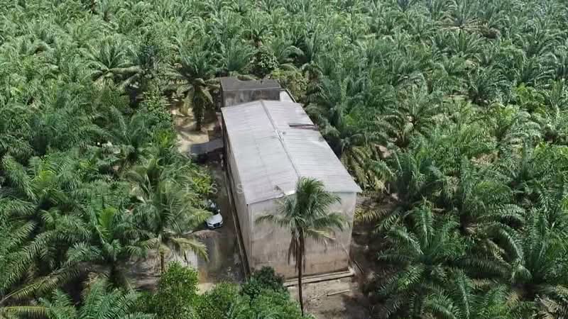 Agricultural Land for Sale in Kota Tinggi (Johor) - Jessie Tan - Exterior - PropertyGuru.com.my