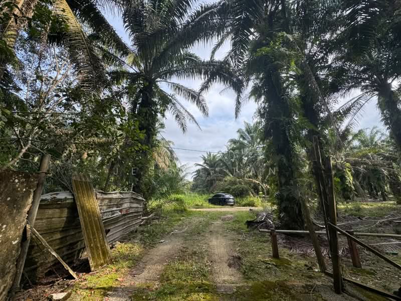 Agricultural Land for Sale in Kampung Bahagia Ulu Choh (Pekan Nanas) - Jessie Tan - Exterior - PropertyGuru.com.my