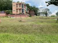 For Rent - Subang Heights