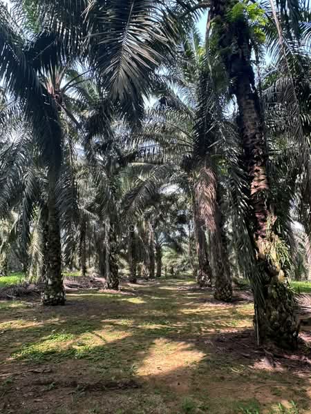 Kota Tinggi Kota Tinggi Kotas Tinggis untuk Untuk Dijual - RM 1,440,000, Mac 2026 - Exterior - PropertyGuru.com.my