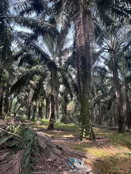 Kota Tinggi Kota Tinggi Kotas Tinggis untuk Untuk Dijual - RM 1,440,000, Mac 2026 - Exterior - PropertyGuru.com.my