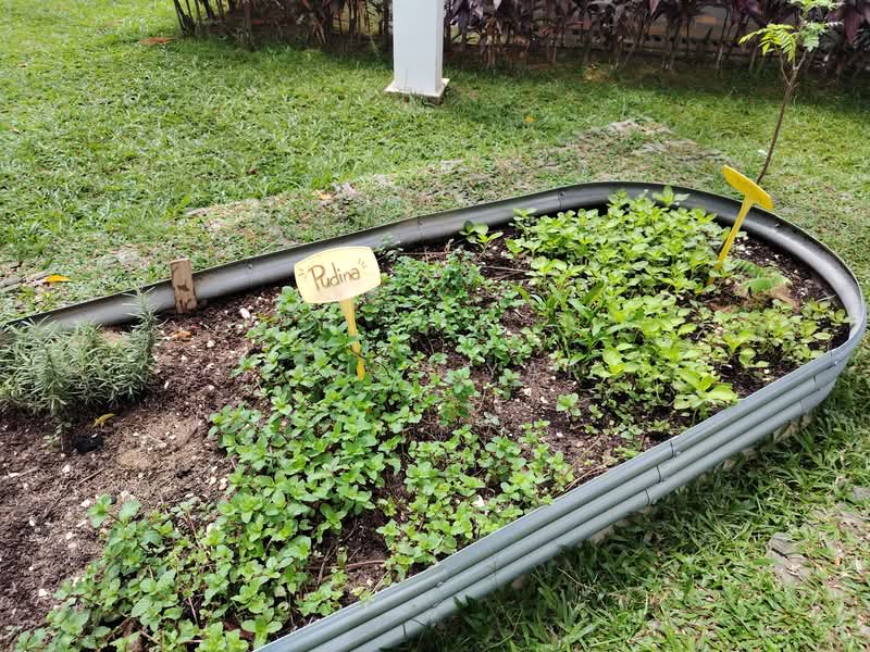 Damansara Foresta untuk Untuk Disewa - RM 2,500 /bulan, Mac 2026 - Garden - PropertyGuru.com.my