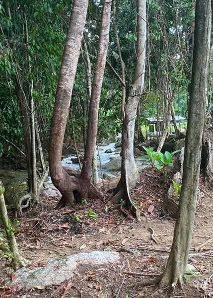 Land for Sale, Lenggong Perak untuk Untuk Dijual - RM 850,000, Mac 2026 - PropertyGuru.com.my