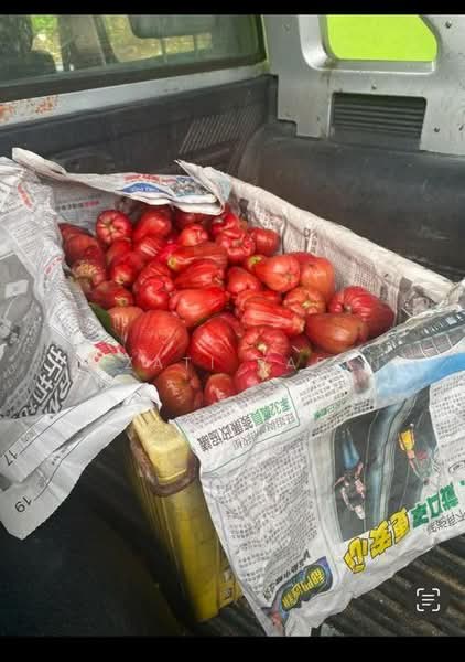 Agriculture Land in Bukit Sapi Lenggong Perak untuk Untuk Dijual - RM 1,200,000, Mac 2026 - PropertyGuru.com.my