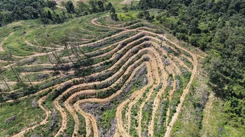 Kuala Lipis untuk Untuk Dijual - RM 100,000, Mac 2026 - Exterior - PropertyGuru.com.my