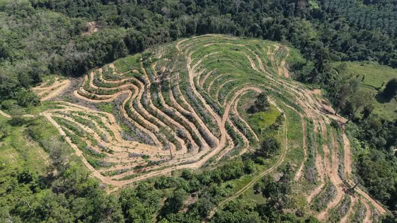 Kuala Lipis untuk Untuk Dijual - RM 100,000, Mac 2026 - Exterior - PropertyGuru.com.my