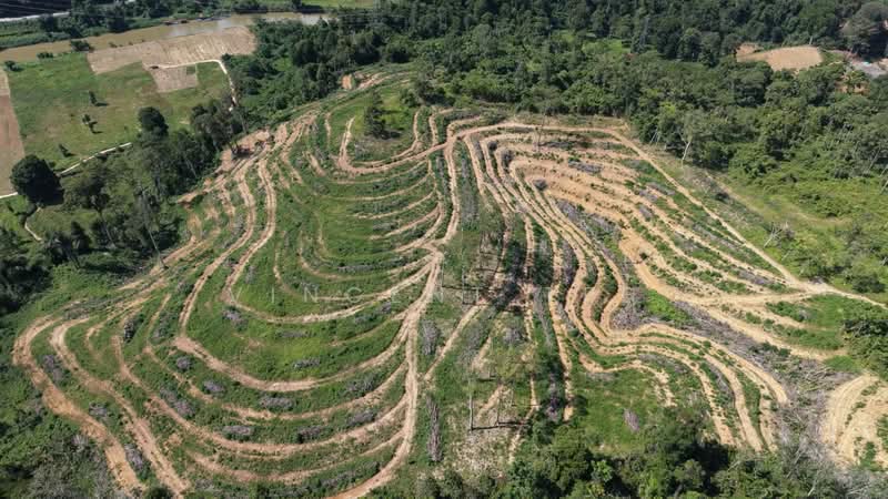 Kuala Lipis untuk Untuk Dijual - RM 100,000, Mac 2026 - Exterior - PropertyGuru.com.my