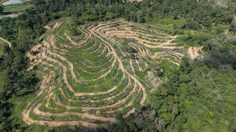 Kuala Lipis untuk Untuk Dijual - RM 100,000, Mac 2026 - Exterior - PropertyGuru.com.my