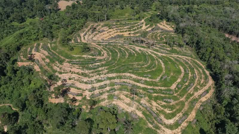 Kuala Lipis untuk Untuk Dijual - RM 100,000, Mac 2026 - Exterior - PropertyGuru.com.my