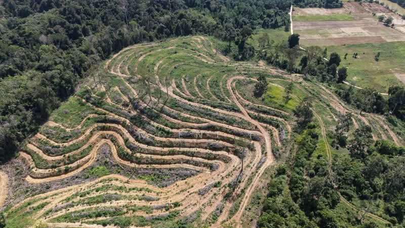 Kuala Lipis untuk Untuk Dijual - RM 100,000, Mac 2026 - Exterior - PropertyGuru.com.my