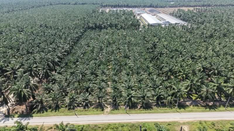 Agricultural Land for Sale in Jeram (Selangor) - Vincent Tee - PropertyGuru.com.my