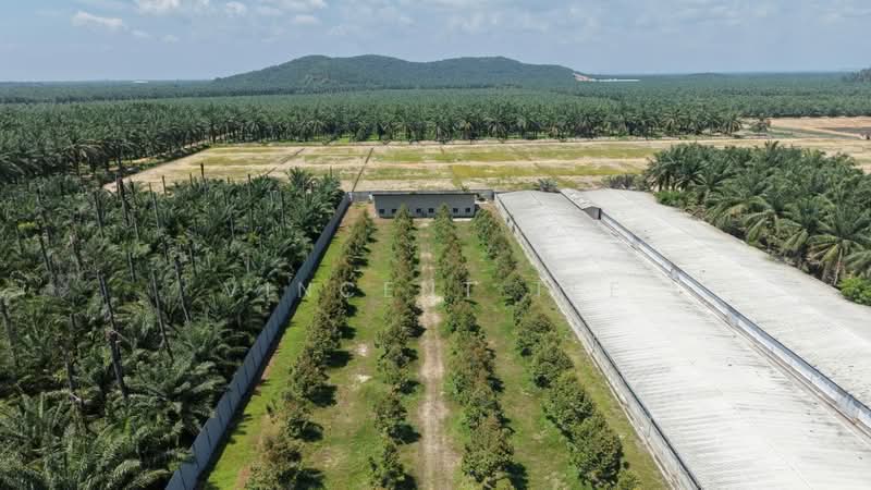 Agricultural Land for Sale in Jeram (Selangor) - Vincent Tee - Exterior - PropertyGuru.com.my
