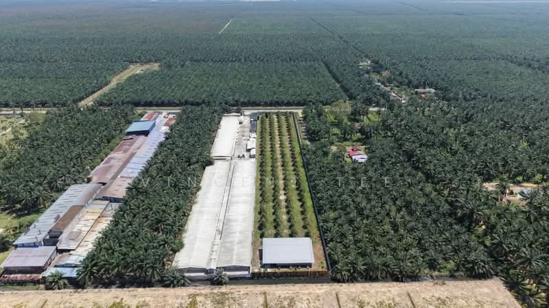 Agricultural Land for Sale in Jeram (Selangor) - Vincent Tee - Exterior - PropertyGuru.com.my