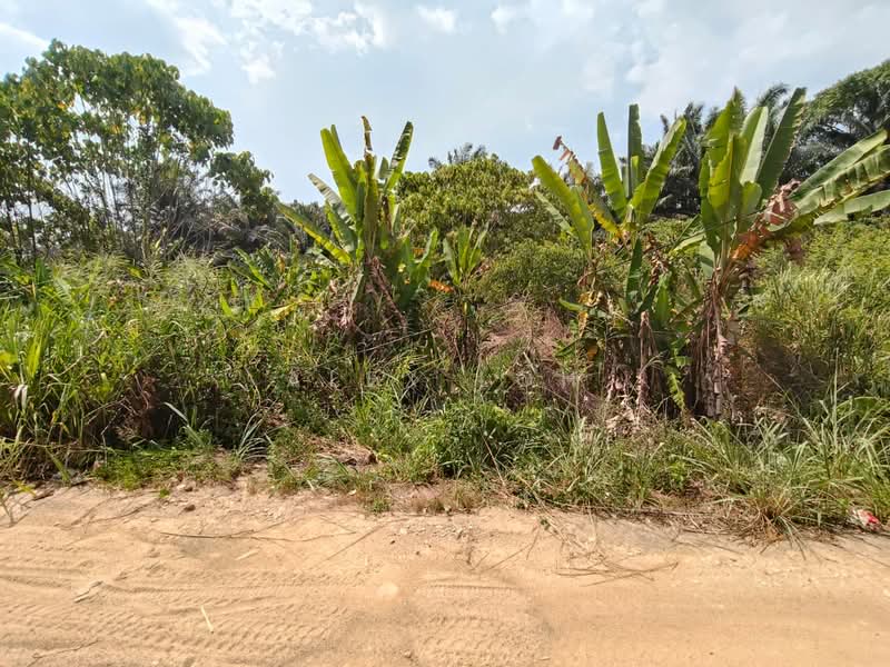 Agricultural Land for Sale in Sungai Bakap (Penang) - Alex Loh - Exterior - PropertyGuru.com.my